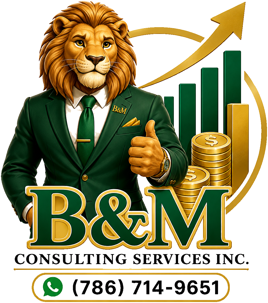 B&M Consulting Services INC logo